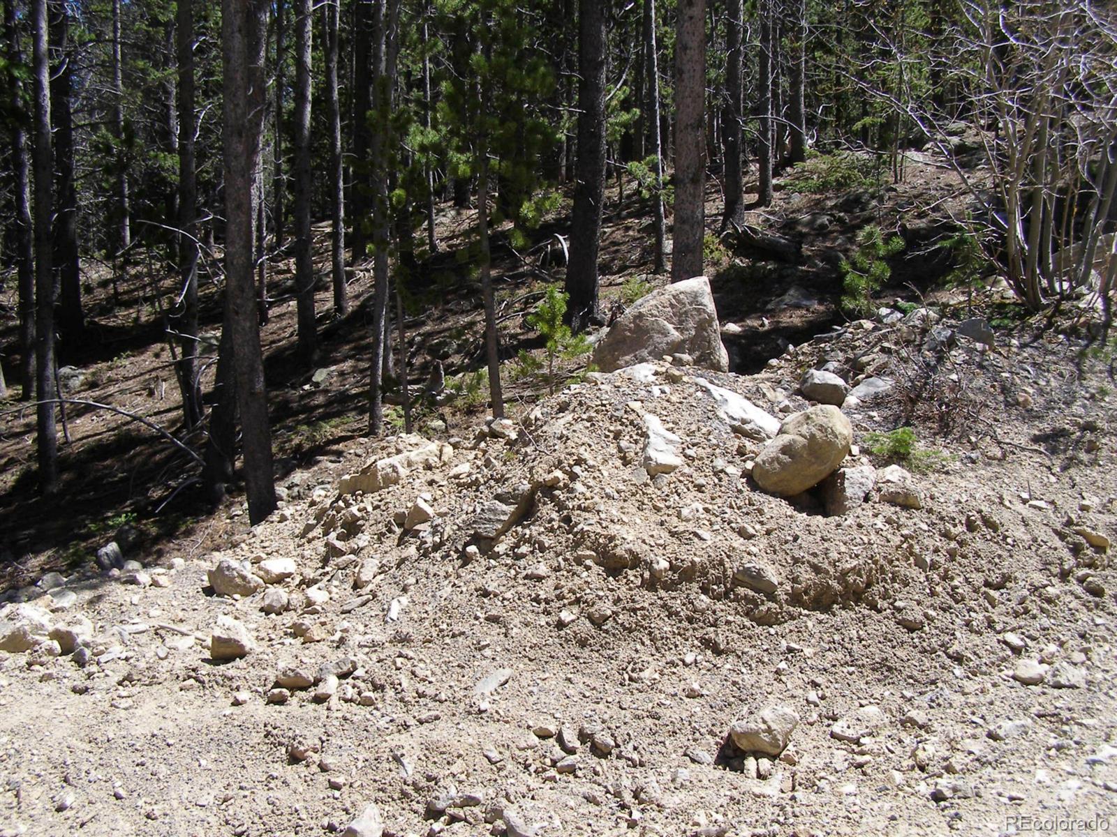 227 Upper Forest Road Idaho Springs, CO 80452 - Photo 8 of 10 Gallery Image 8
