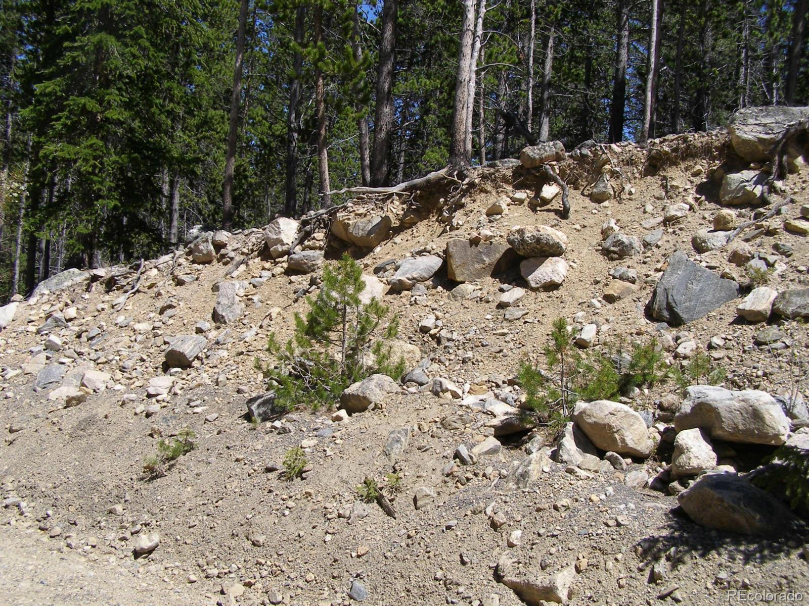 227 Upper Forest Road Idaho Springs, CO 80452 - Photo 10 of 10 Gallery Image 10