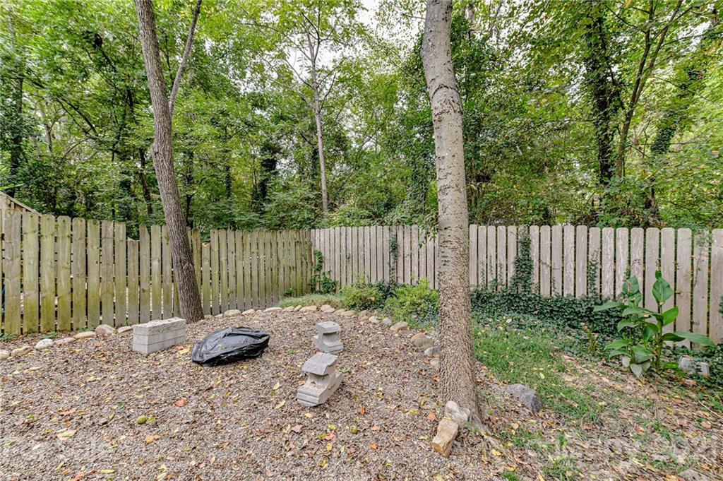 356 Spring Street Davidson, NC 28036 - Photo 22 of 22 Gallery Image 22