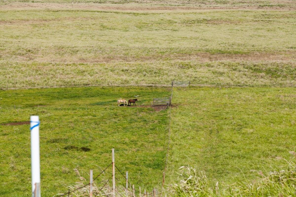 6 Kaʻaluʻalu Road Naalehu, HI 96772 - Photo 3 of 5 a bathroom with a shower