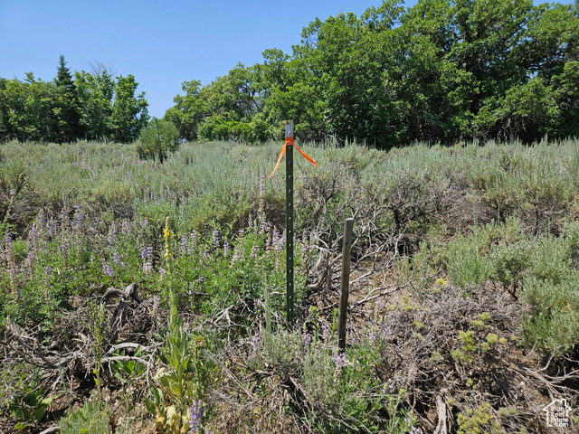 155 East Wolf Hollow Road South, Unit 155 Fairview, UT 84629 - Photo 6 of 13 View of local wilderness