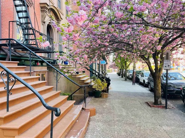 a park view with a tree