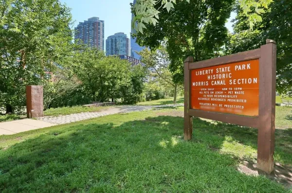 a view of a back yard