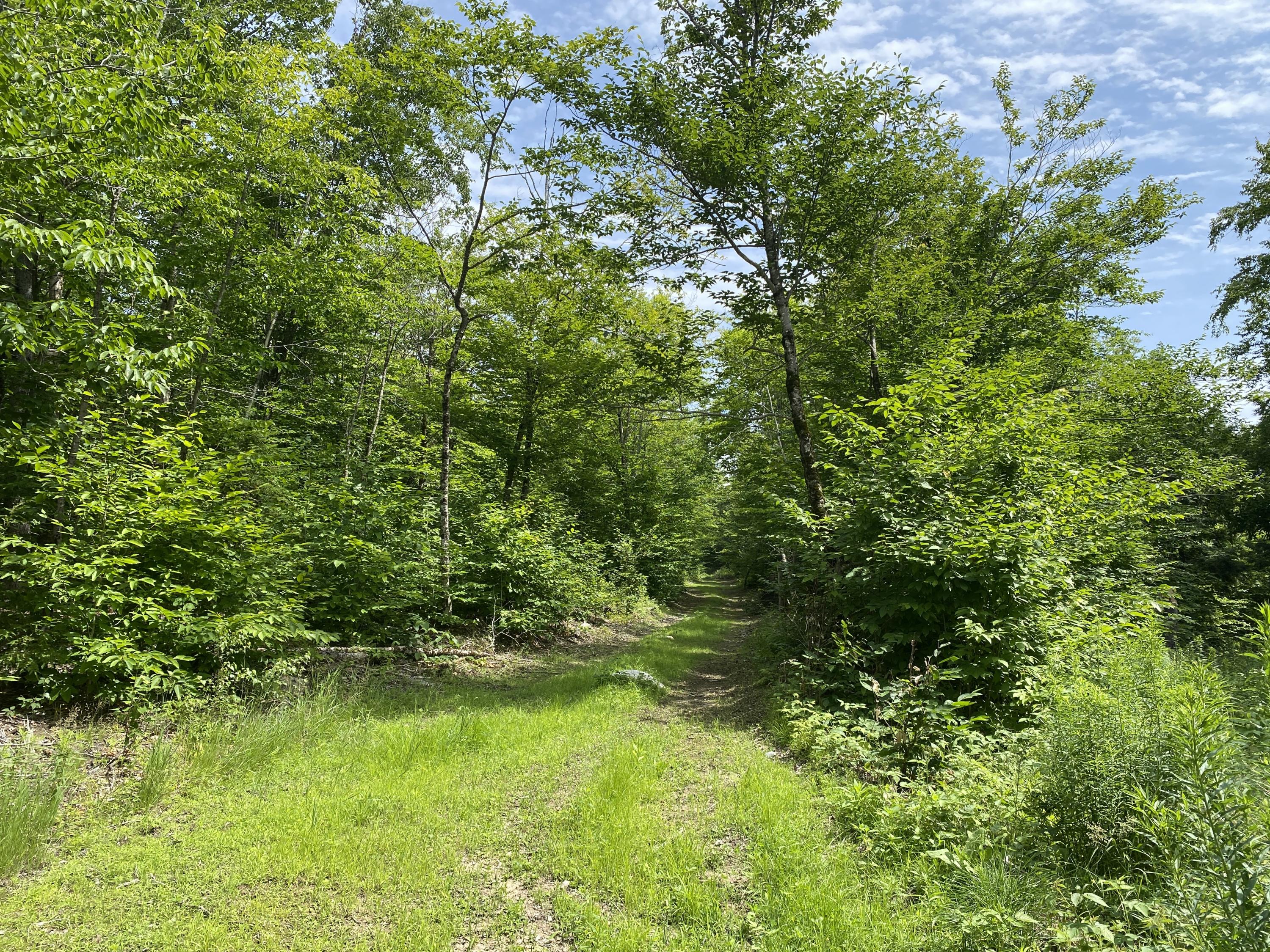 1511 Otis Road Ellsworth, ME 04605 - Photo 1 of 15 IMG_3903