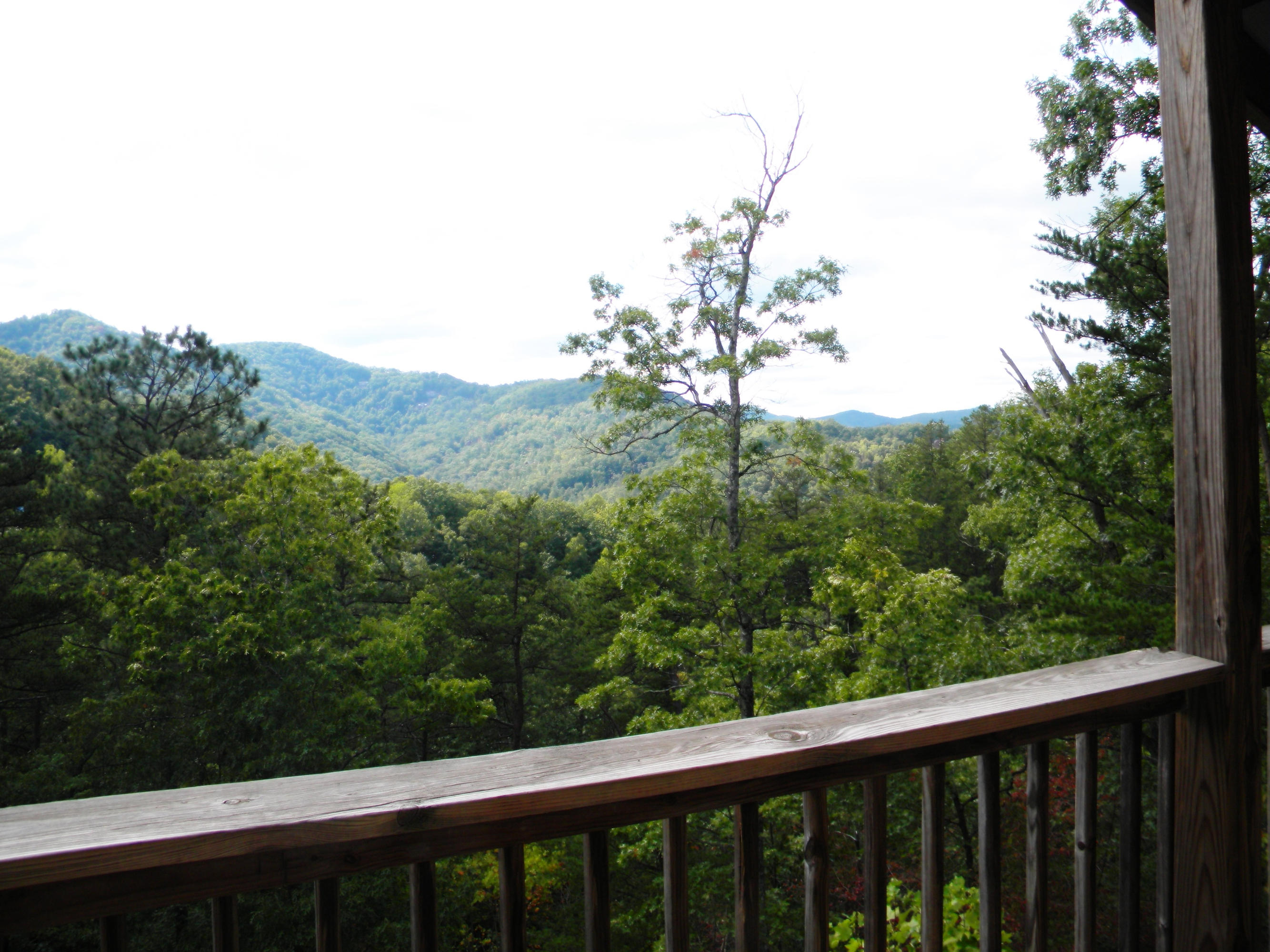 3312 Sugar Maple Loop Road Sevierville, TN 37862 - Photo 29 of 32 2014-09-27 01