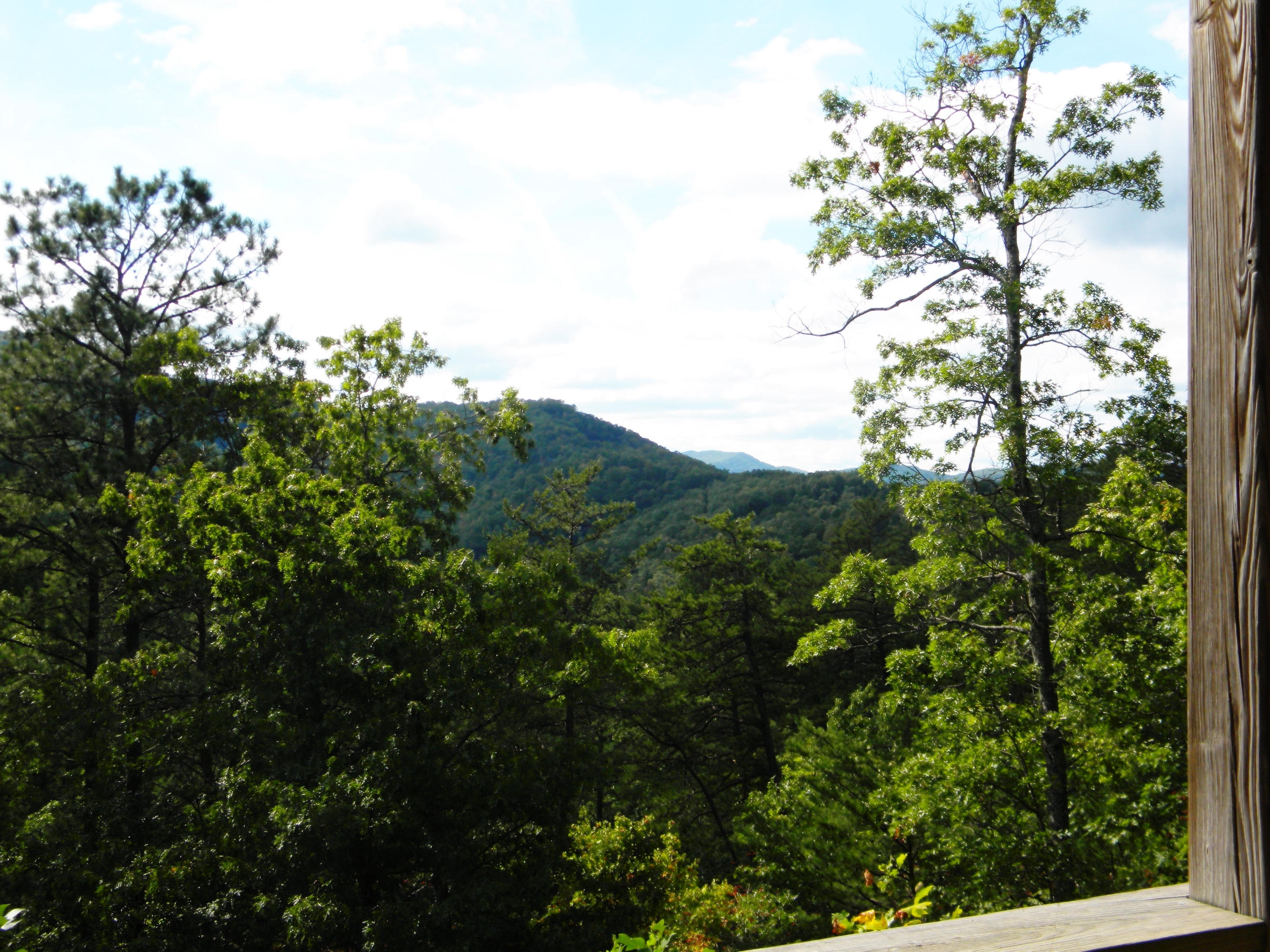 3312 Sugar Maple Loop Road Sevierville, TN 37862 - Photo 30 of 32 2014-09-27 01