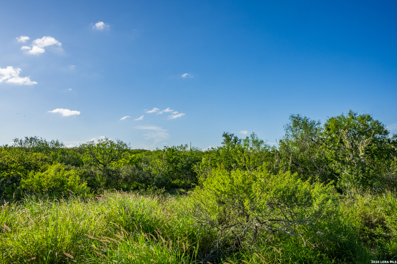 111 Los Lomas Ranch Road Freer, TX 78357 - Photo 26 of 31