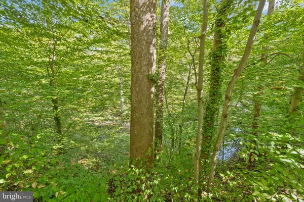 $539,500 | 6501 Orono Court, Springfield, VA 22152