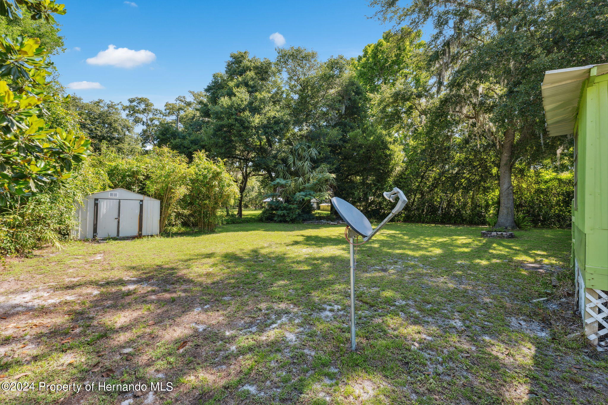 10327 East Victory Lane Inverness, FL 34450 - Photo 24 of 35 a view of a tree in a yard