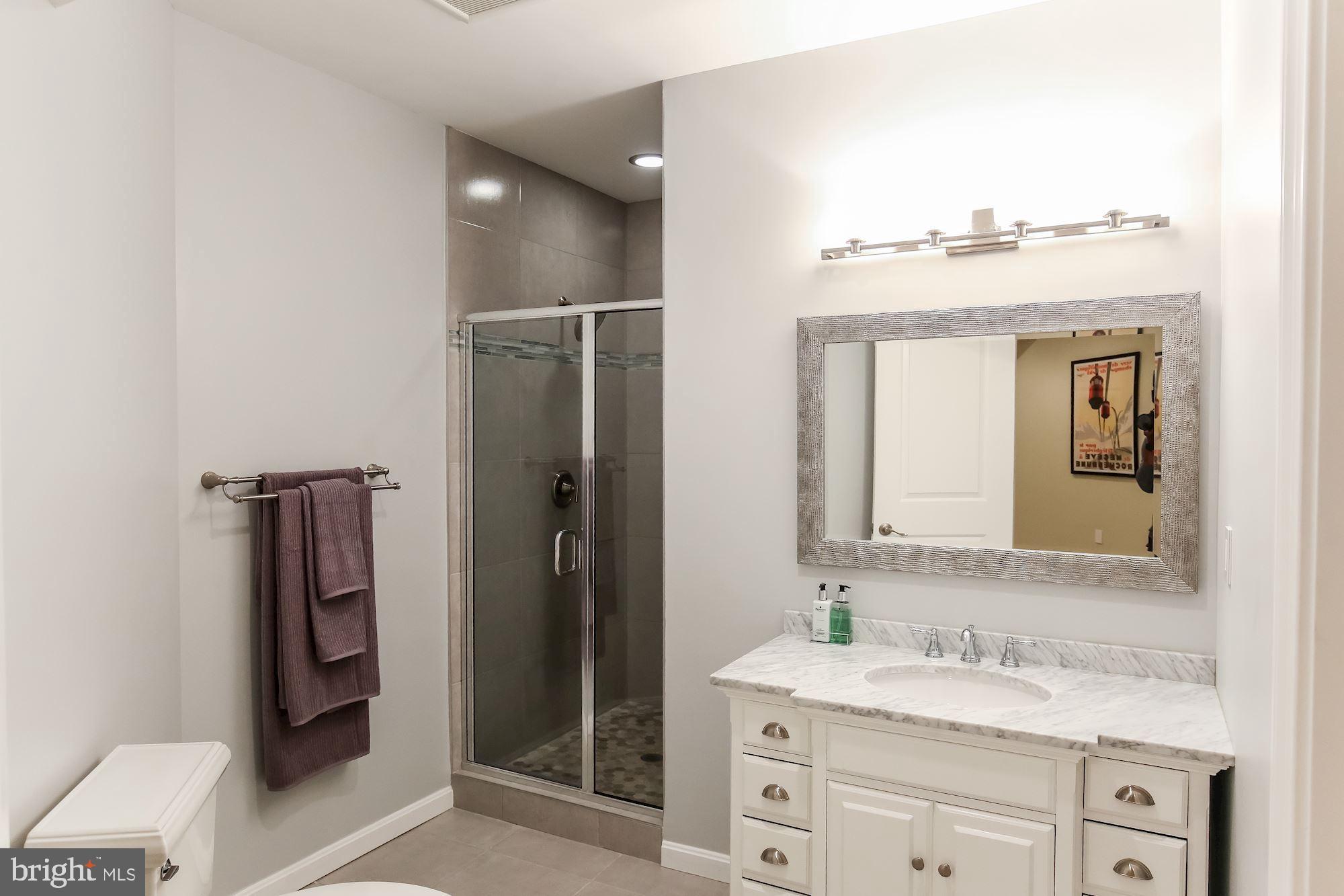 3346 Jones Bridge Road Chevy Chase, MD 20815 - Photo 30 of 50 Lower Level Full Bathroom