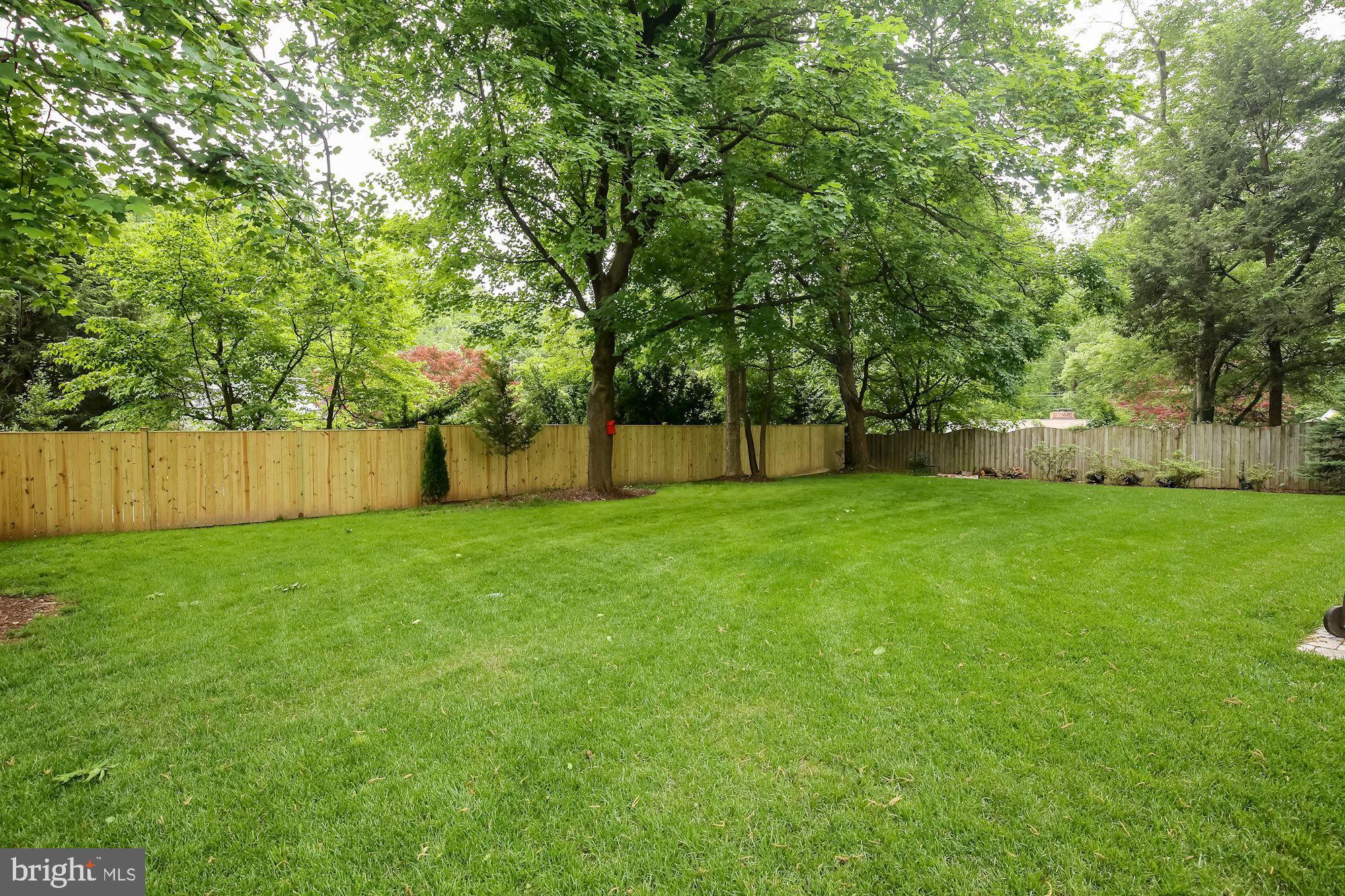 3346 Jones Bridge Road Chevy Chase, MD 20815 - Photo 34 of 50 Backyard