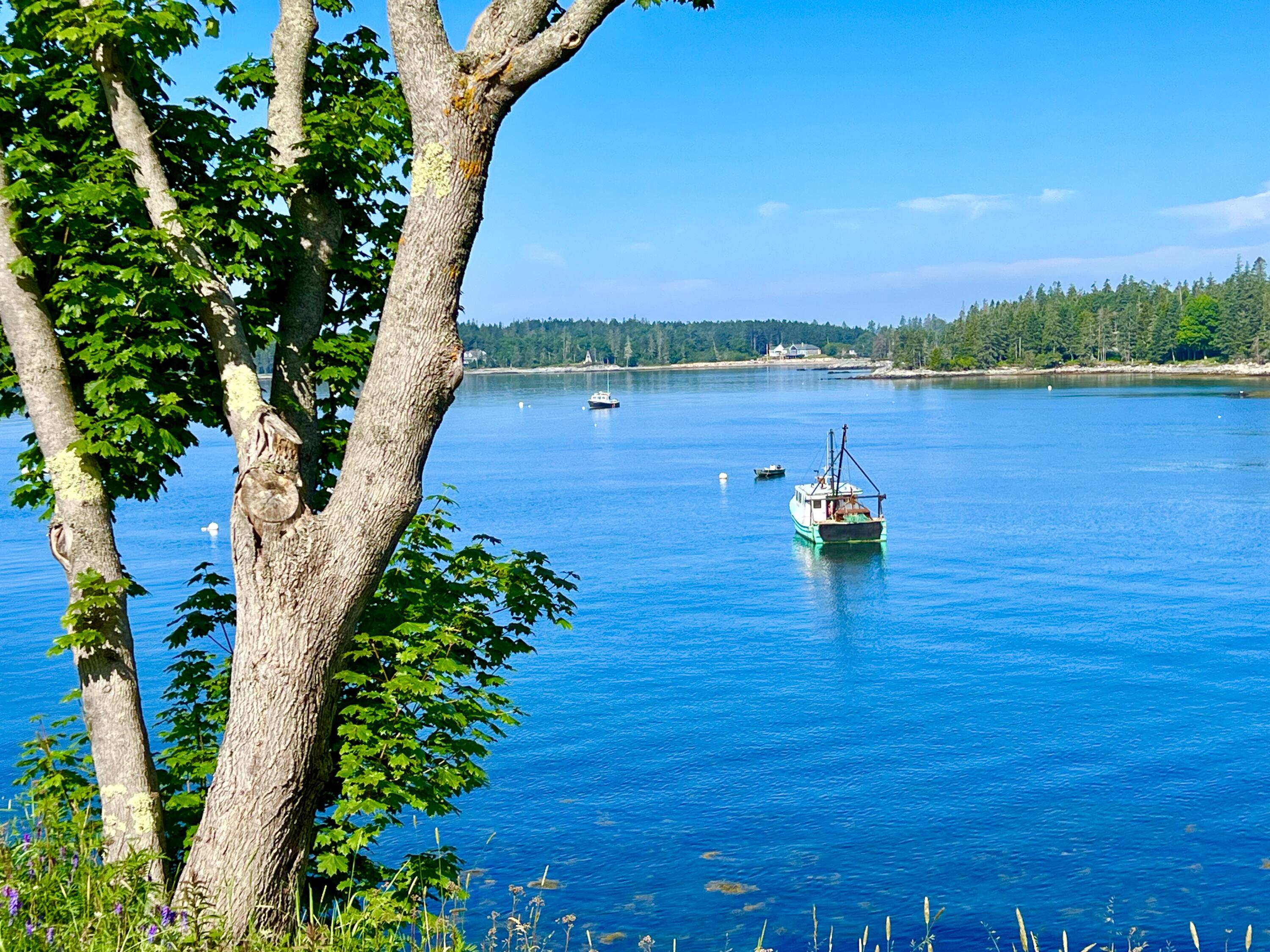 28 A Richardson Road, Unit 11 Tremont, ME 04653 - Photo 53 of 58 Bass Harbor