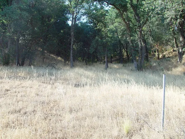 a view of a lake with trees in the background