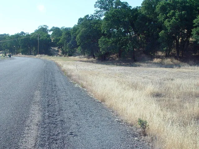 a view of a dirt road with trees in the background