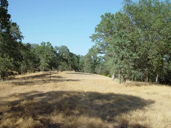 a view of ocean view with large trees