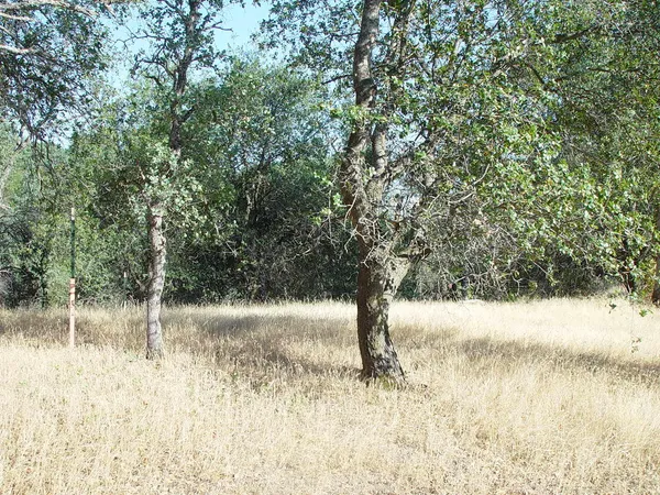 a view of a lake view