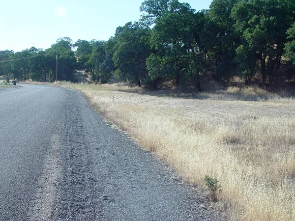 a view of a dirt road with trees in the background