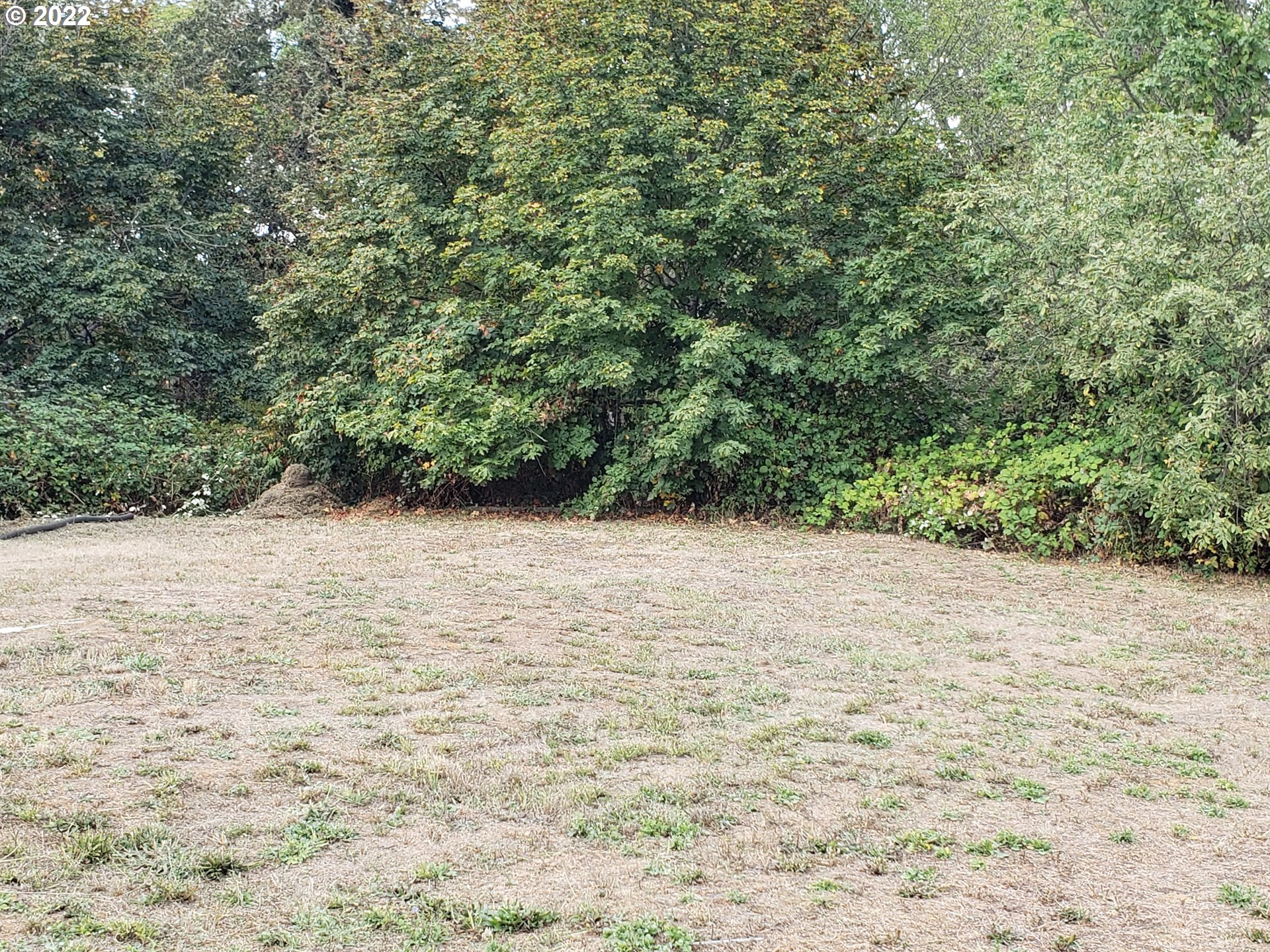 3532 Carnes Road Roseburg, OR 97471 - Photo 7 of 9 Gallery Image 7