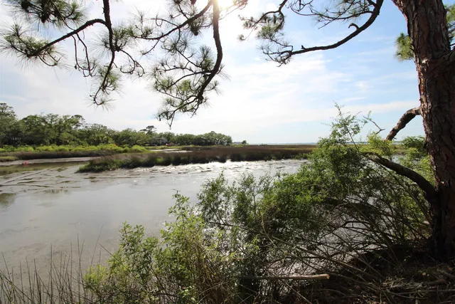 $85,000 | 20 George Vause Road, Alligator Point, FL 32346