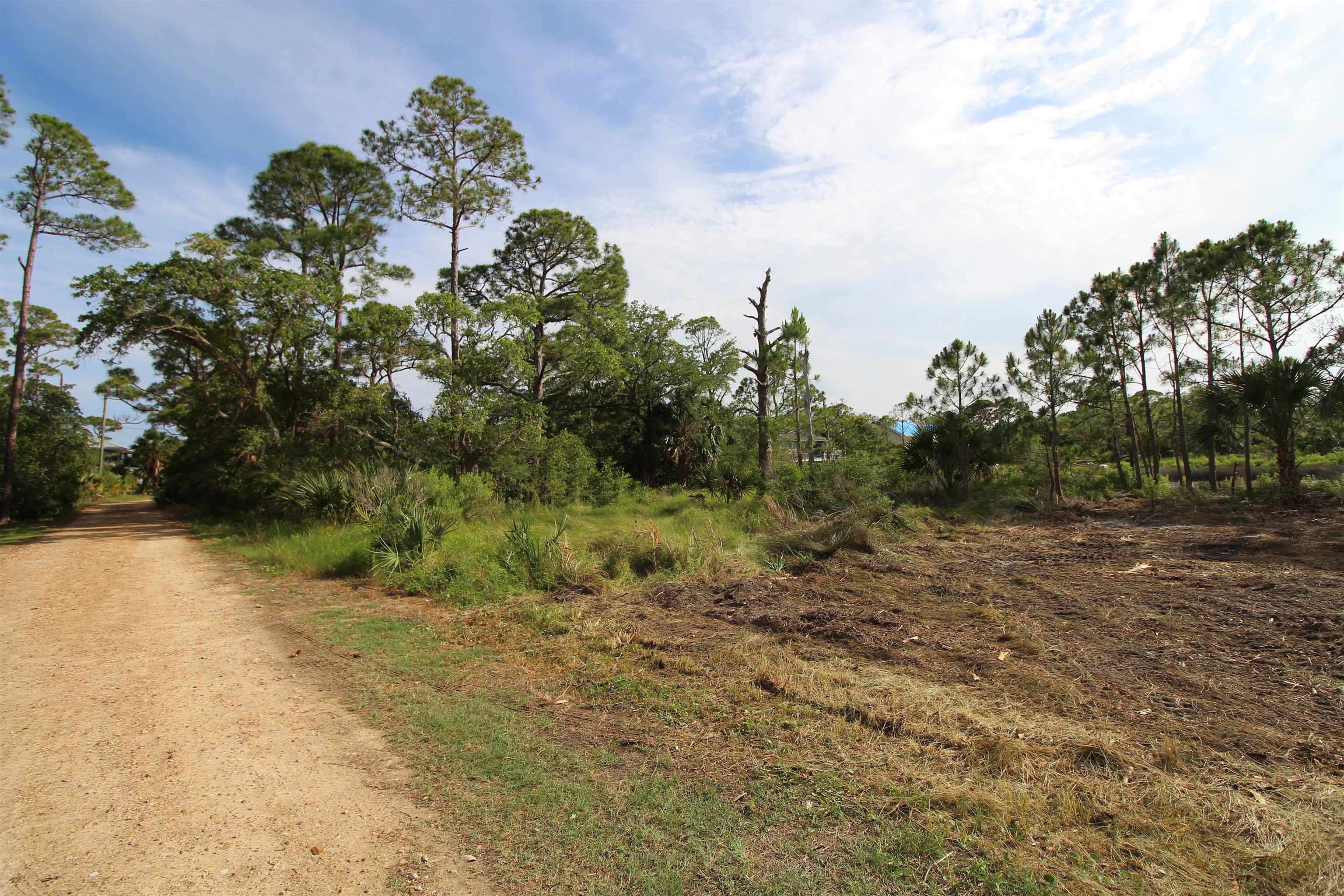 20 George Vause Road Alligator Point, FL 32346 - Photo 4 of 8