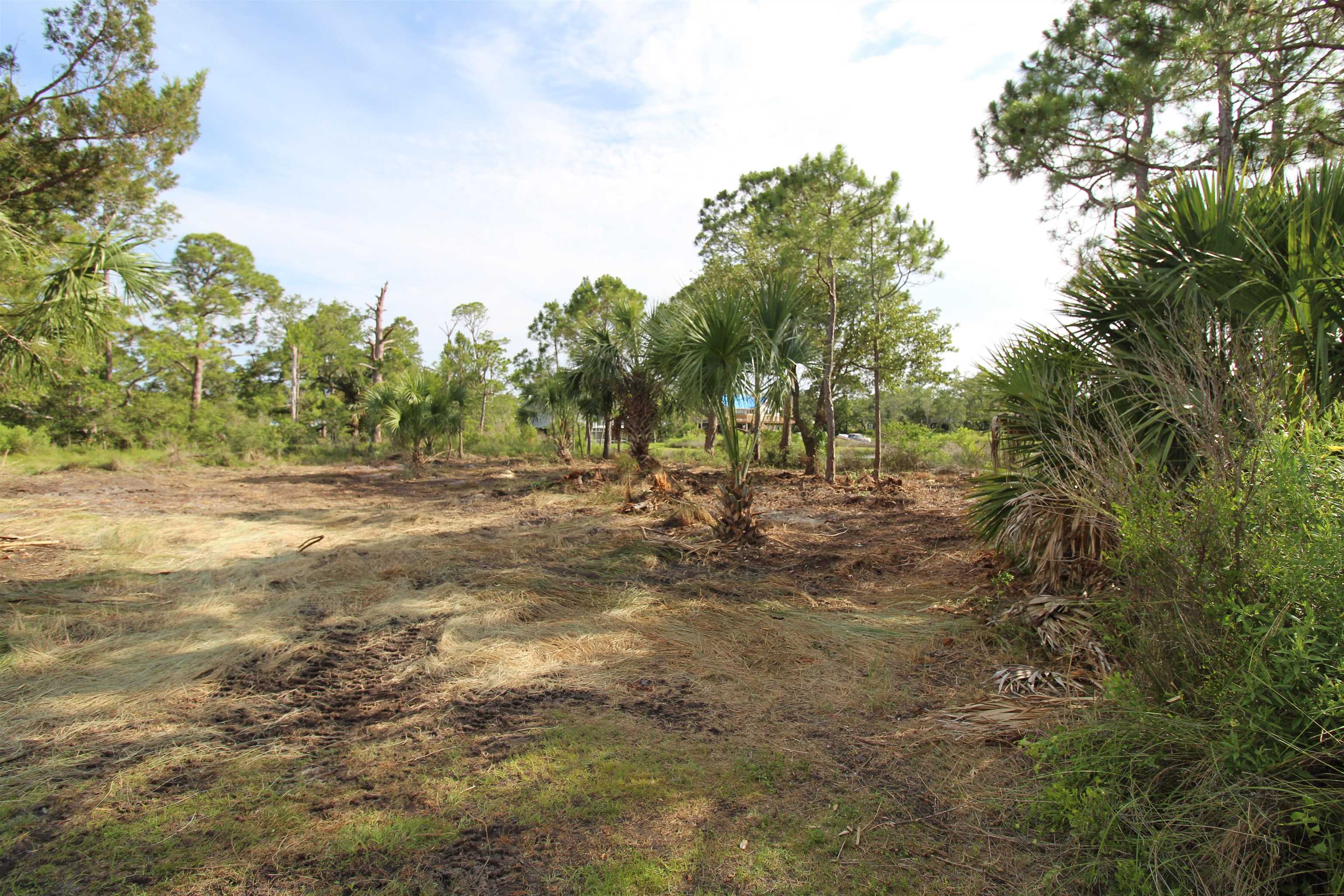 20 George Vause Road Alligator Point, FL 32346 - Photo 6 of 8