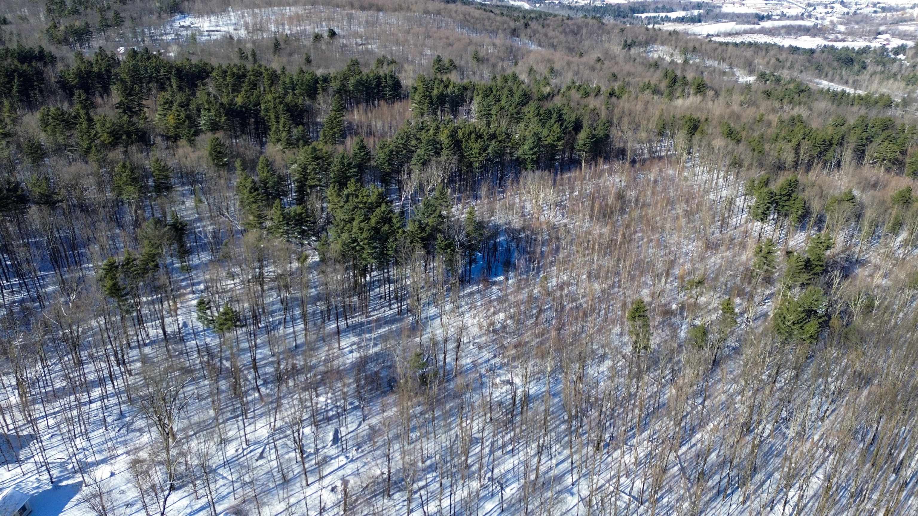 450 Oak Hill Road Williston, VT 05495 - Photo 19 of 21