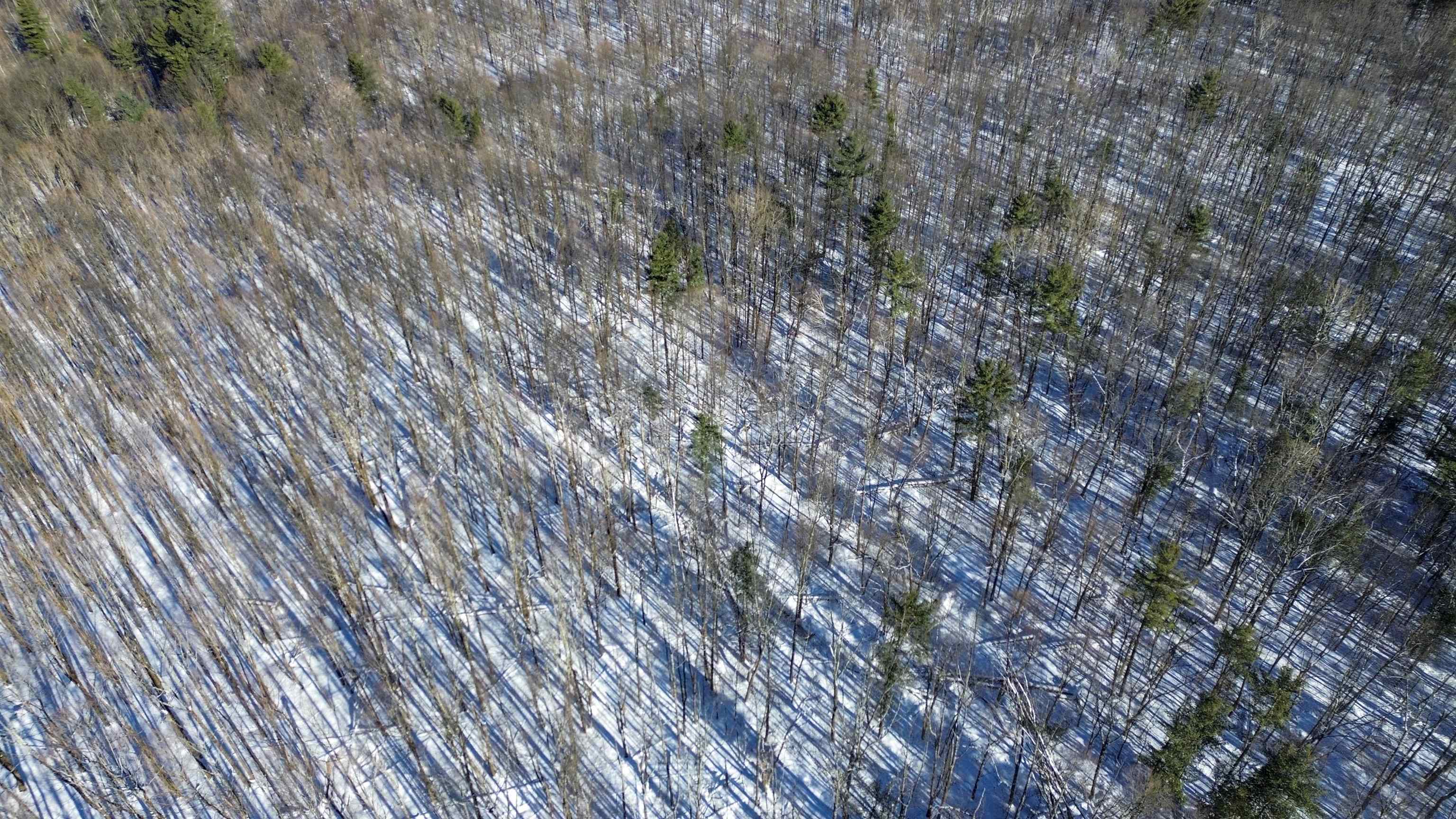 450 Oak Hill Road Williston, VT 05495 - Photo 20 of 21