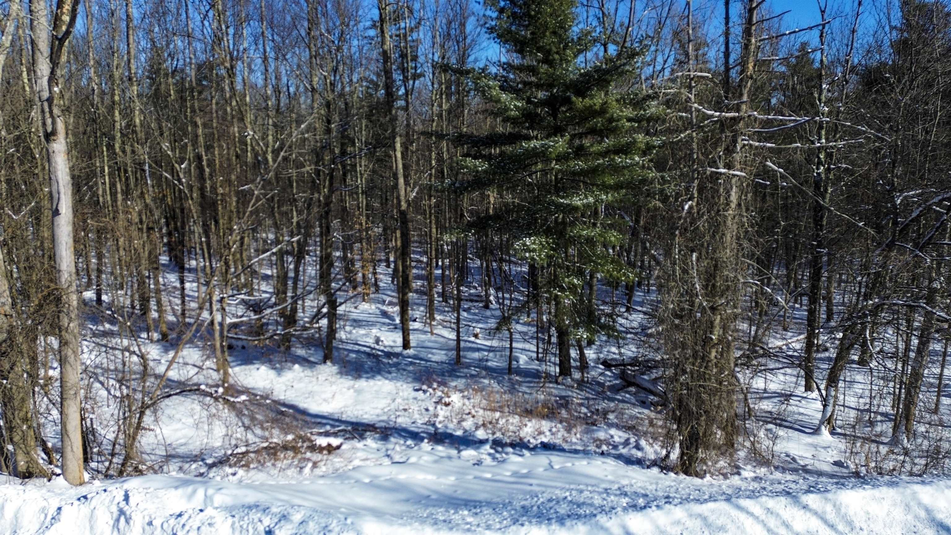 450 Oak Hill Road Williston, VT 05495 - Photo 6 of 21