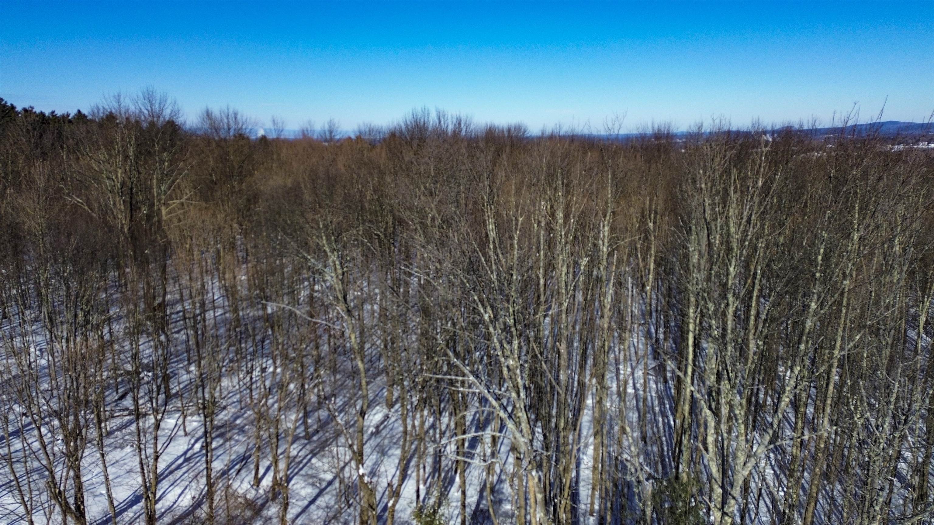 450 Oak Hill Road Williston, VT 05495 - Photo 8 of 21