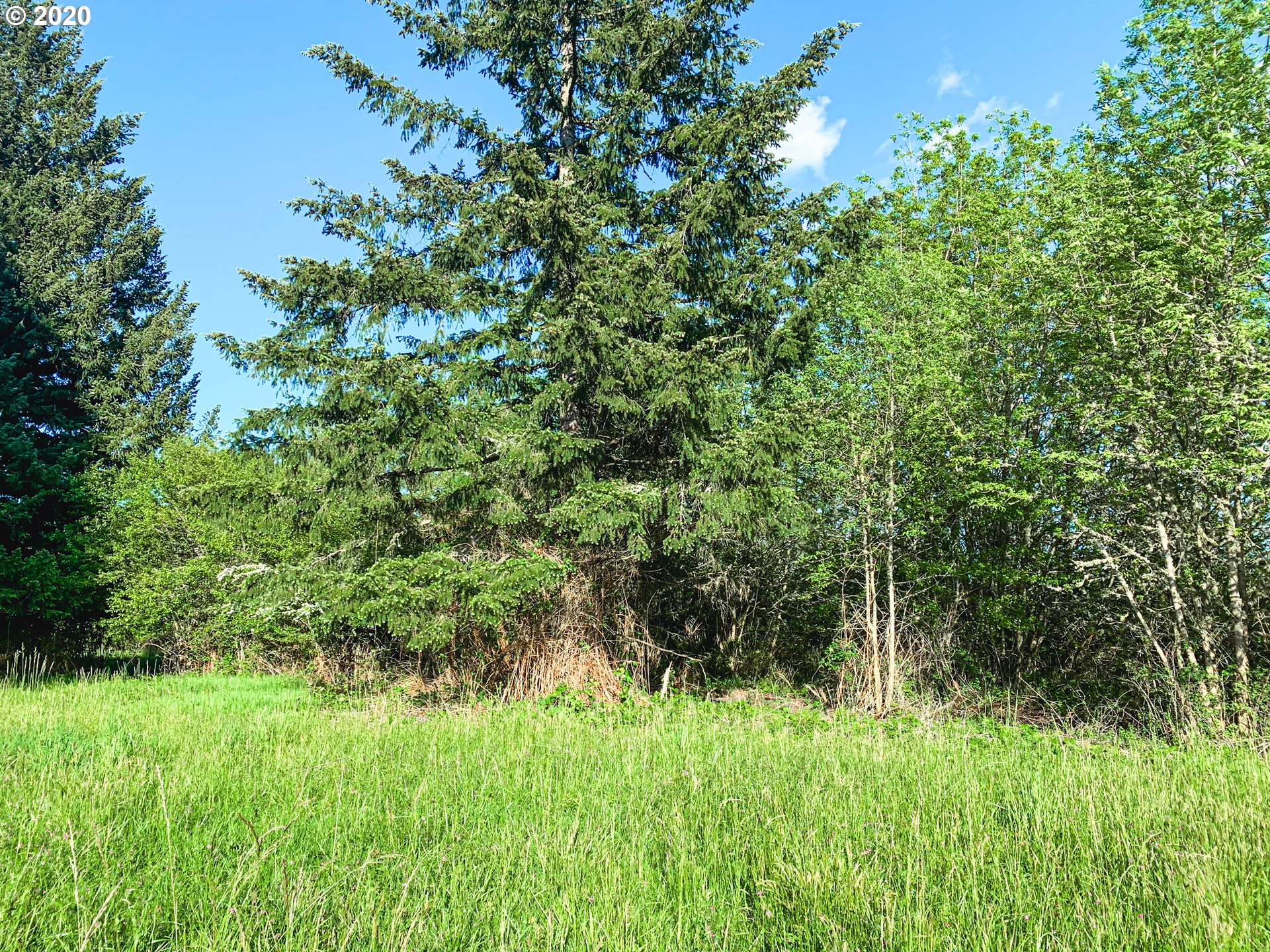 2925 Stoltz Hill Road, Unit 2 Lebanon, OR 97355 - Photo 16 of 32 Gallery Image 16