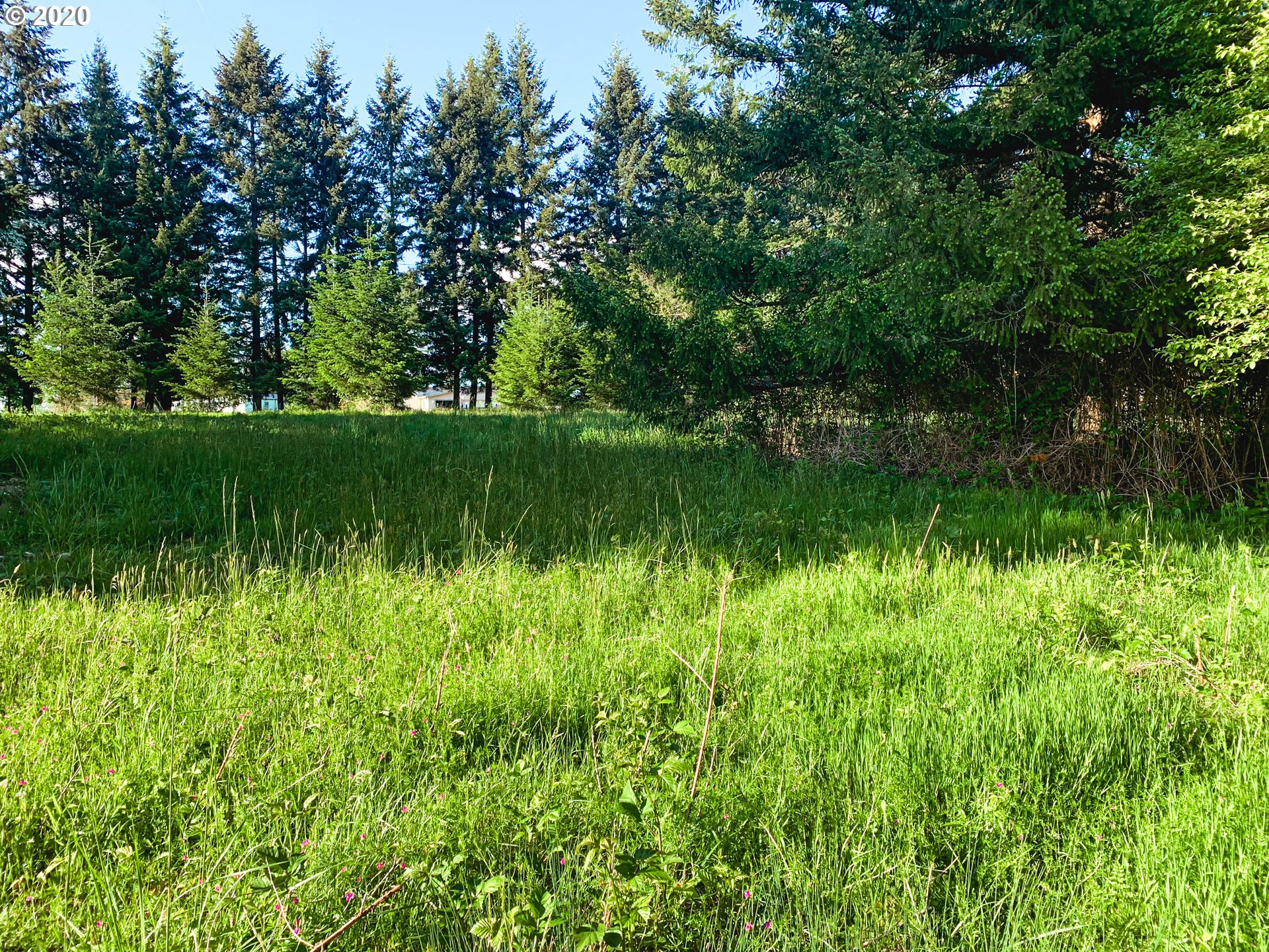 2925 Stoltz Hill Road, Unit 2 Lebanon, OR 97355 - Photo 3 of 32 Gallery Image 3