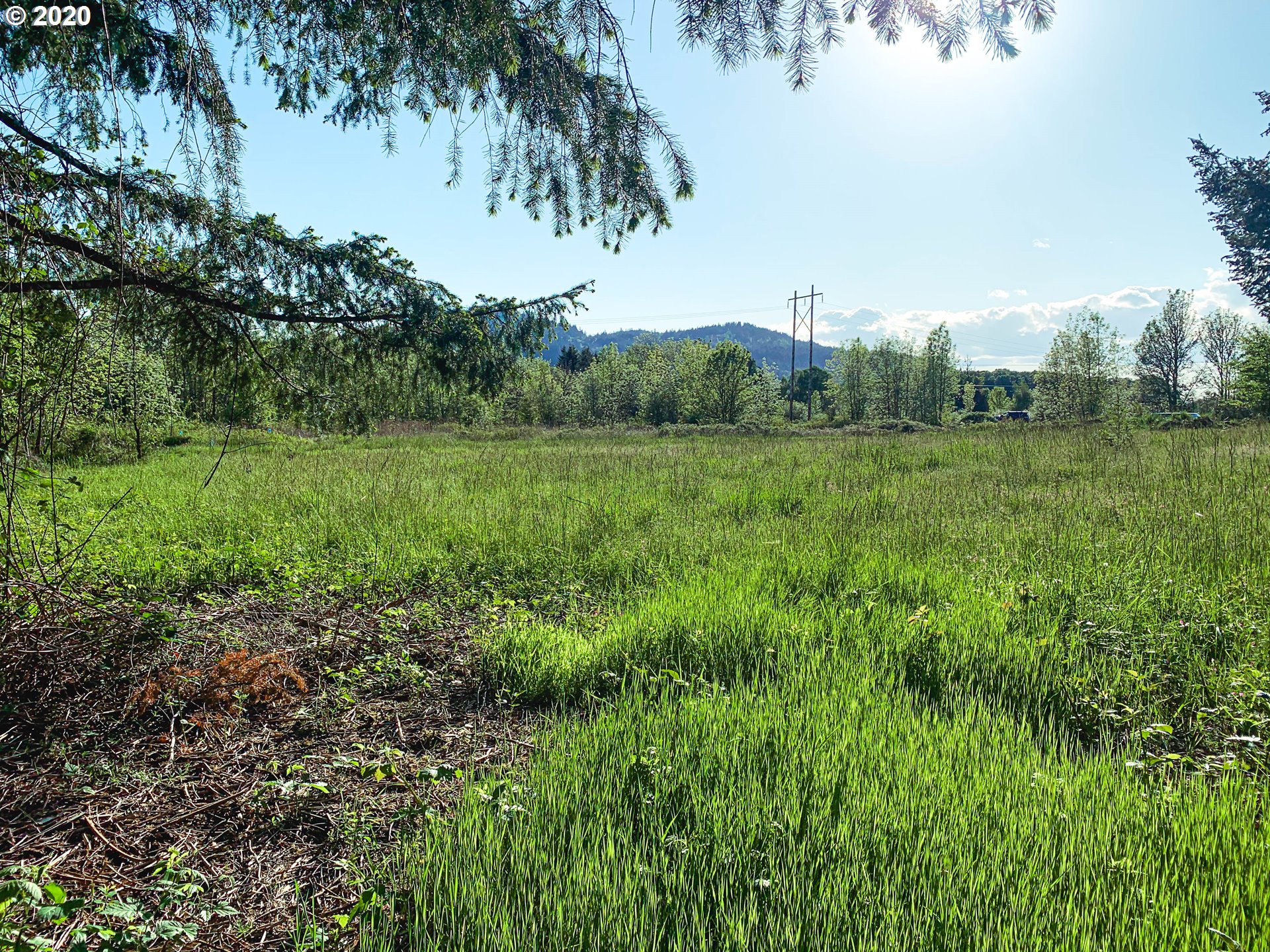 2925 Stoltz Hill Road, Unit 2 Lebanon, OR 97355 - Photo 22 of 32 Gallery Image 22