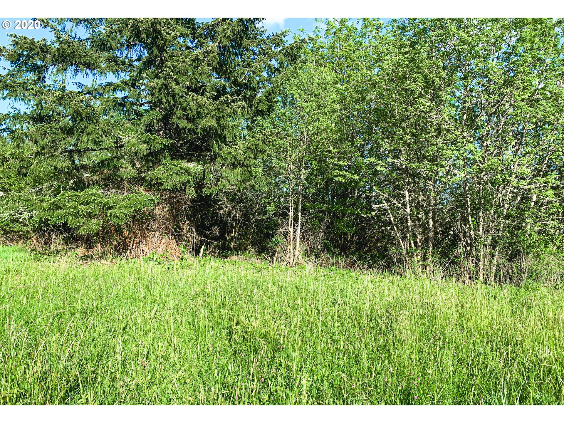 2925 Stoltz Hill Road, Unit 2 Lebanon, OR 97355 - Photo 9 of 32 Gallery Image 9