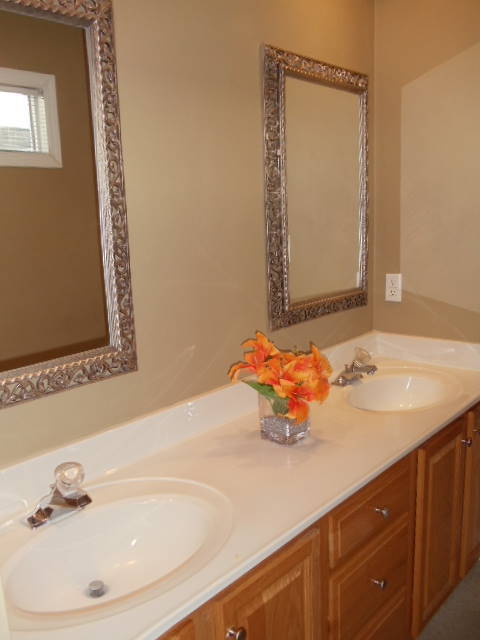 1624 Meadows Road Vinton, VA 24179 - Photo 12 of 30 a bathroom with a sink and a mirror
