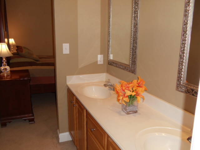 1624 Meadows Road Vinton, VA 24179 - Photo 14 of 30 a bathroom with a sink and a mirror