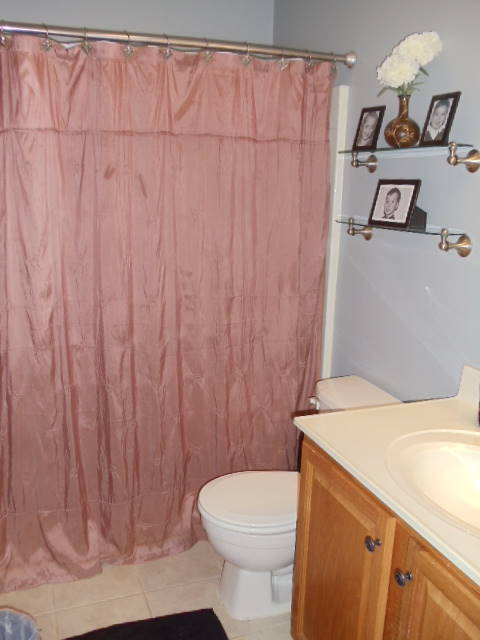 1624 Meadows Road Vinton, VA 24179 - Photo 17 of 30 a bathroom with a sink a toilet and shower curtain