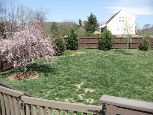 1624 Meadows Road Vinton, VA 24179 - Photo 30 of 30 a view of a yard in front of a house