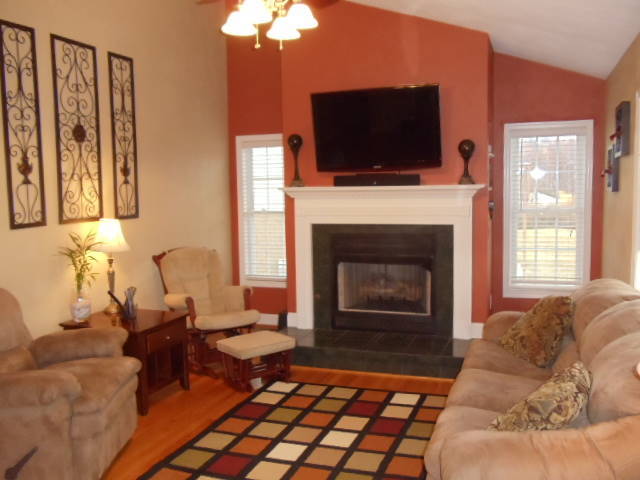 1624 Meadows Road Vinton, VA 24179 - Photo 5 of 30 a living room with furniture a flat screen tv and a fireplace