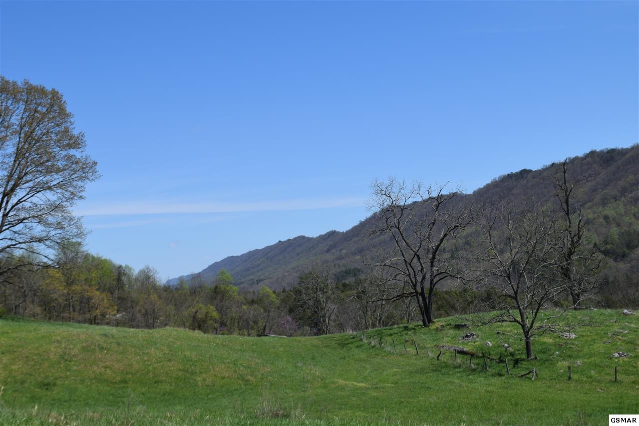 617 War Creek Road Eidson, TN 37731 - Photo 29 of 35