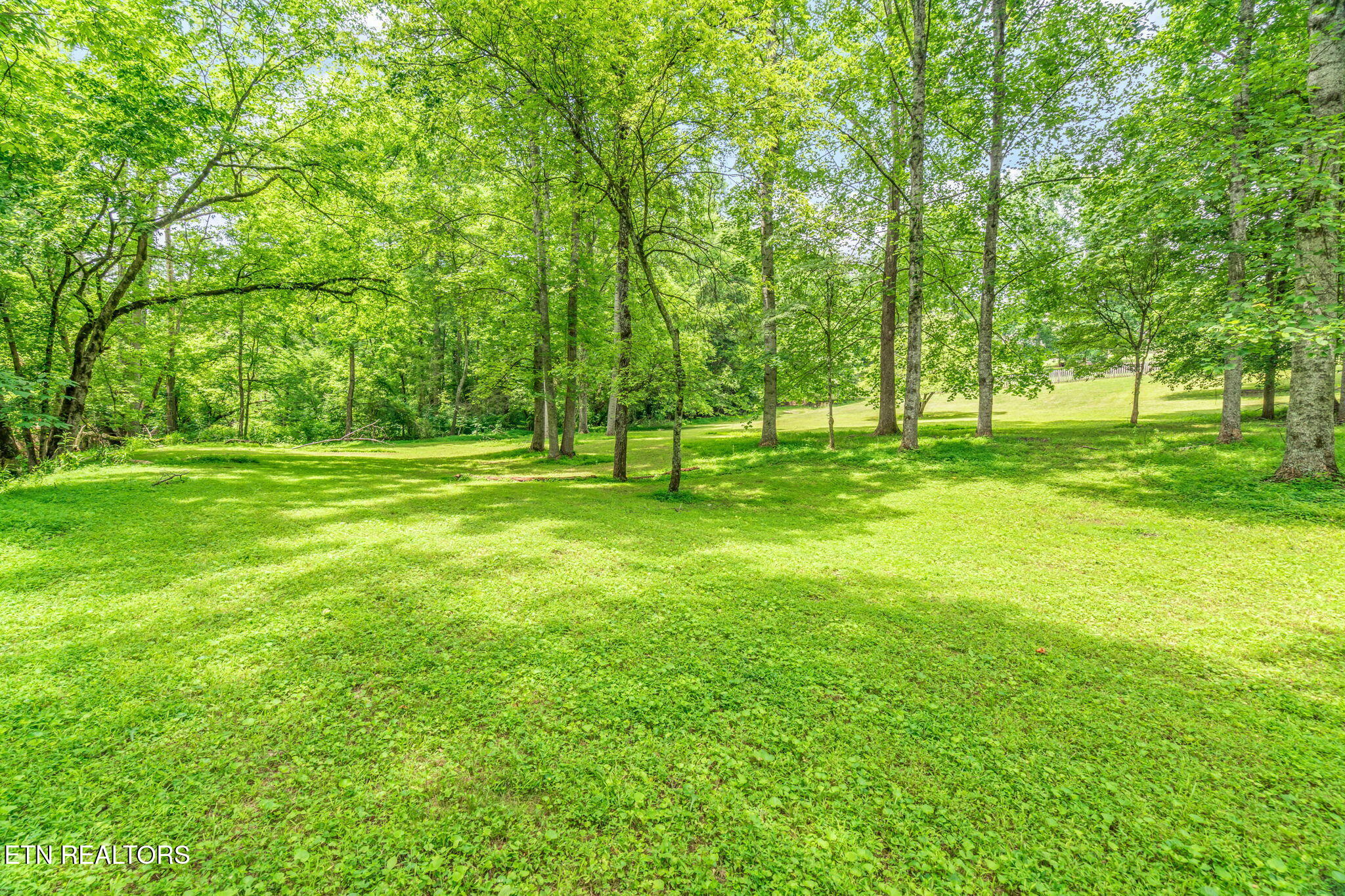10370 Rather Road Knoxville, TN 37931 - Photo 54 of 60 10370 Rather Road