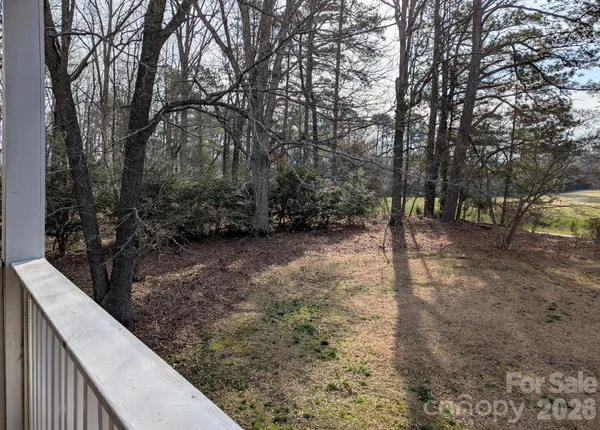 a view of a forest filled with trees
