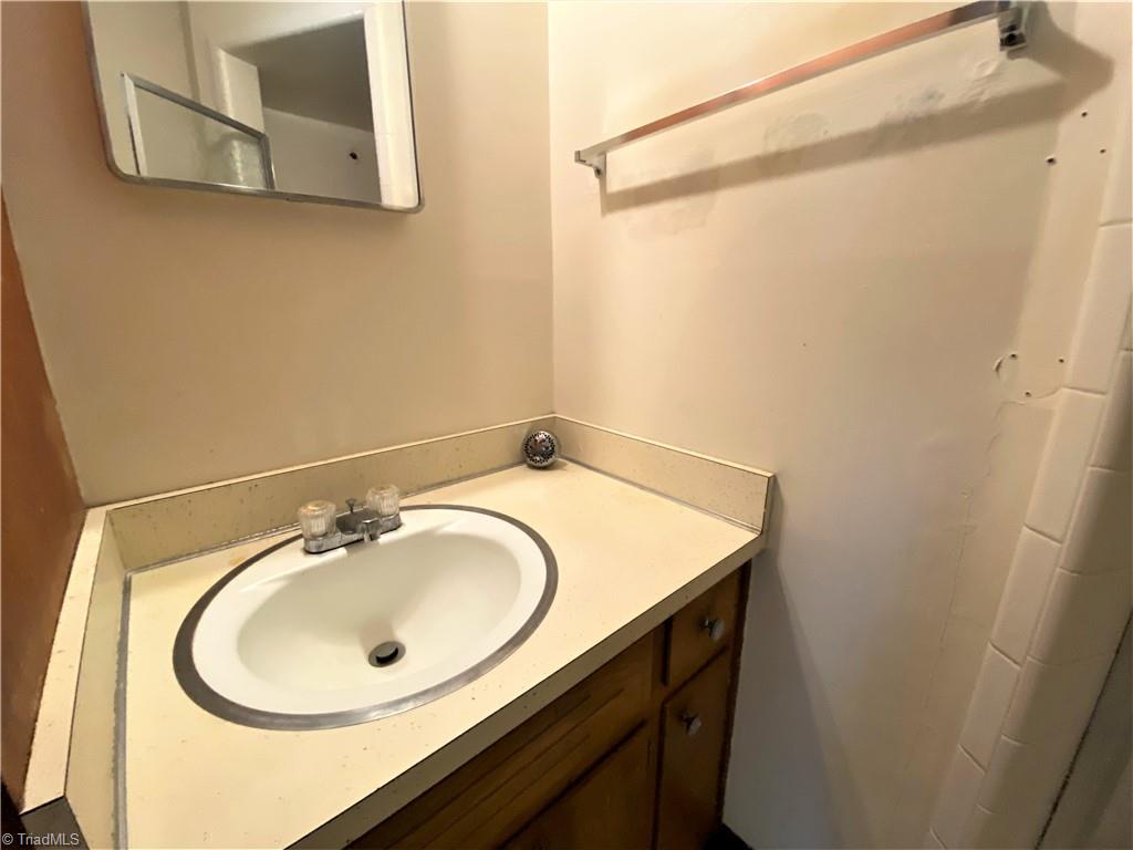6603 Company Mill Road Climax, NC 27233 - Photo 9 of 24 Close up of the vanity area in the primary bath.