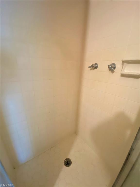 6603 Company Mill Road Climax, NC 27233 - Photo 10 of 24 Close up of the tile shower in the primary bath.