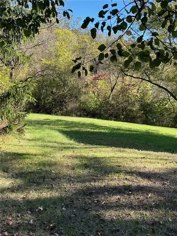 a view of a field with an trees