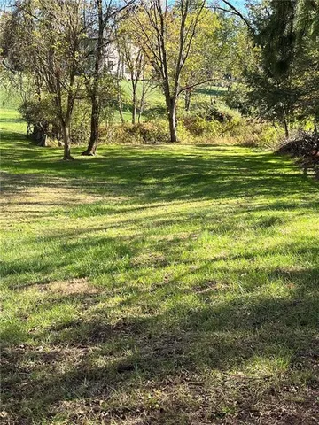 a big yard with lots of green space and trees
