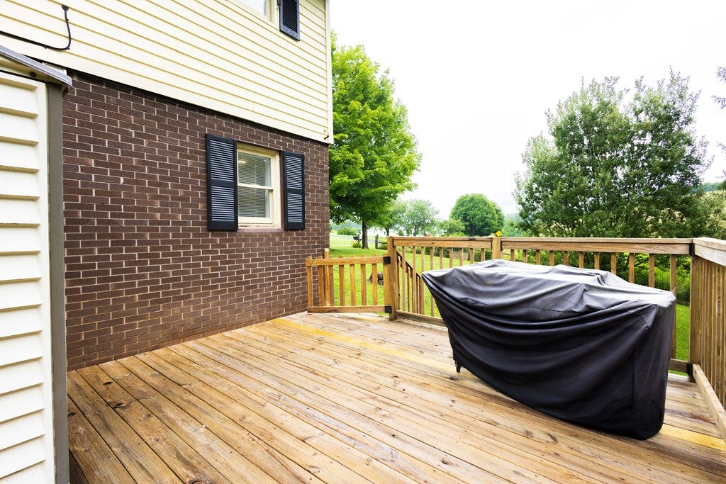 1038 Cedar Springs Road Sugar Grove, VA 24375 - Photo 47 of 61 Gallery Image 47