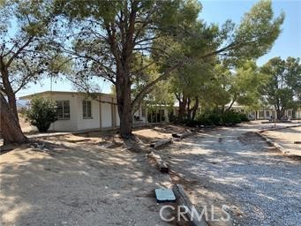 9401 Crystal Creek Road Lucerne Valley, CA 92356 - Photo 2 of 3 a view of a yard with a tree