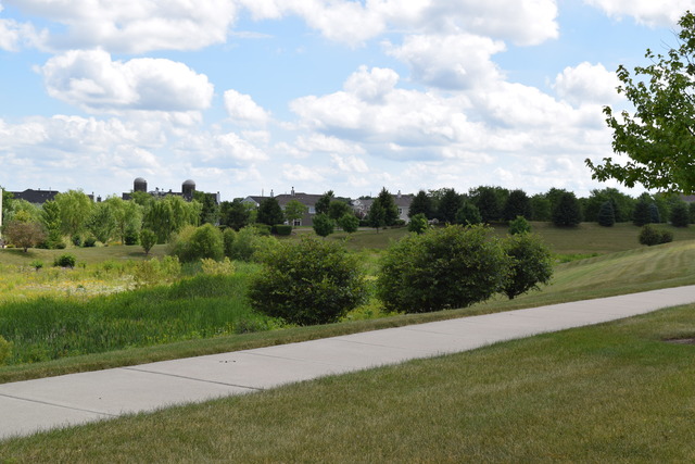 268 Monument Road Elgin, IL 60124 - Photo 19 of 25