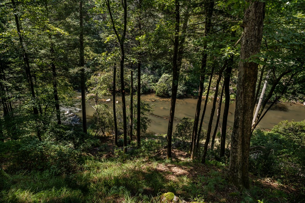 263 Indian Cave Road Ellijay, GA 30536 - Photo 45 of 50