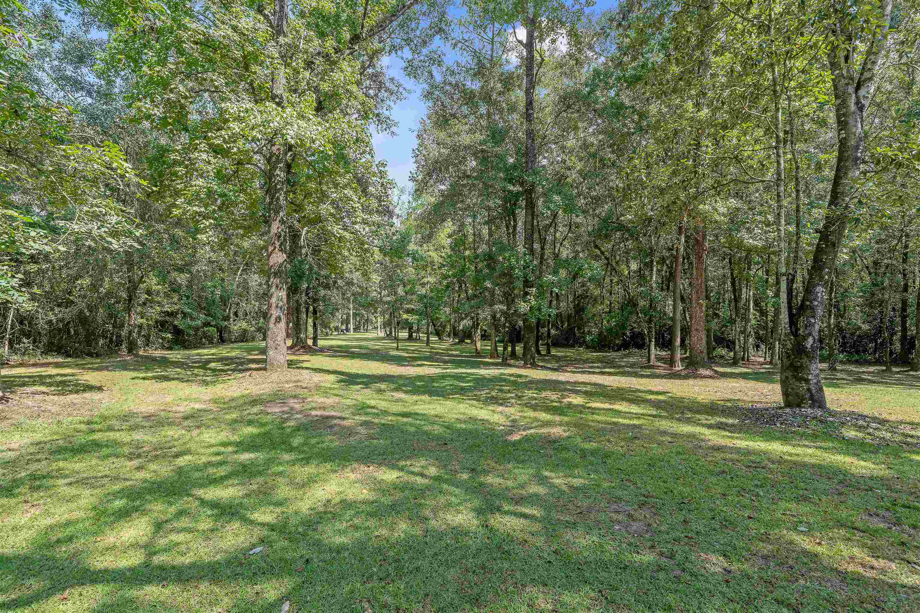 25591 Waterworld Road Robertsdale, AL 36567 - Photo 11 of 33 Yard